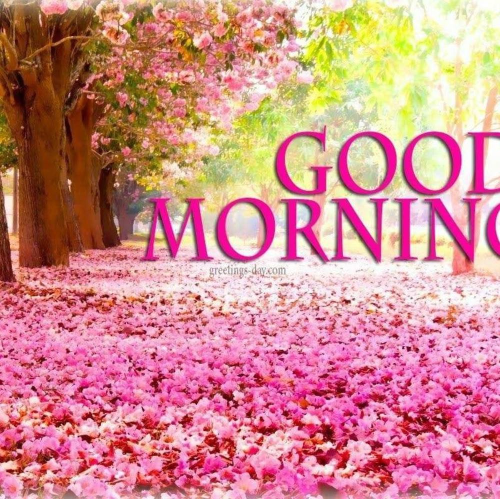 Meet your Posher, Smita